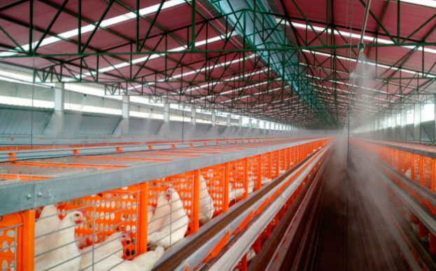 Nebulizador de alta pressão da Clima Flex sendo utilizado em uma ordenha de leite