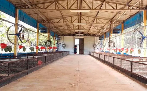 Foto ilustrativa dos ventiladores Clima Flex utilizado em um galpão
